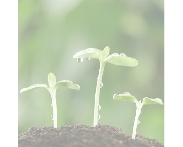 <p style="text-align:center;">
	<span style="font-family:楷体;color:#000000;letter-spacing:0pt;font-size:18px;"><strong>News</strong></span> 
</p>